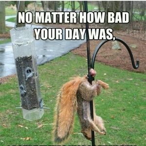 Meet your Posher, Bryan